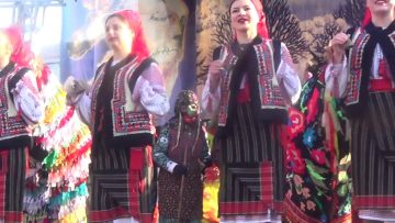 [ID: qrM9qoenGE0] Youtube Automatic