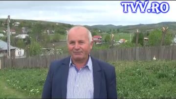 [ID: ytHcdC-oti4] Youtube Automatic